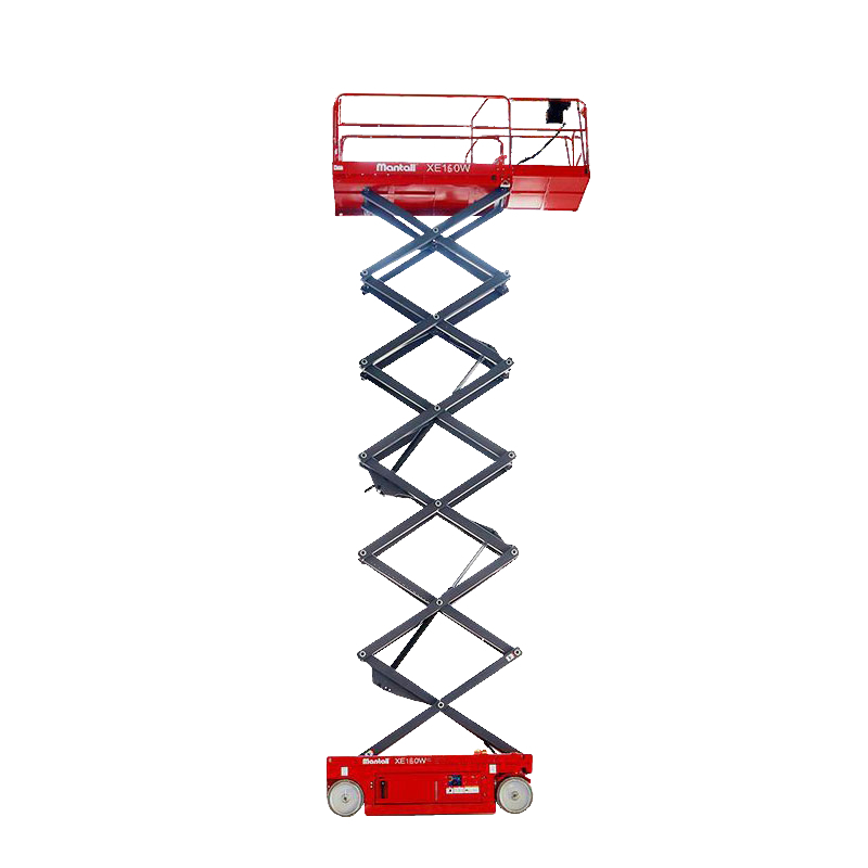 3625775_image.png